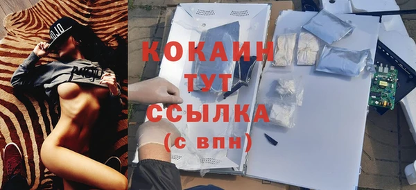 твердый Саяногорск