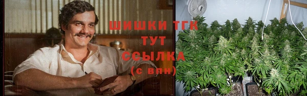 ECSTASY Рославль